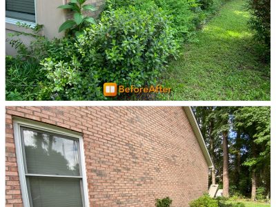Backyard Landscape Design