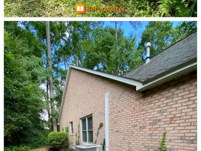 Backyard Landscape Maintenance