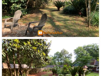 Backyard Landscaping