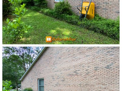 Backyard Lawn Care