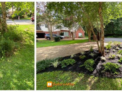 Landscape Designing