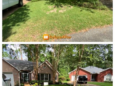 Landscaping Design Services