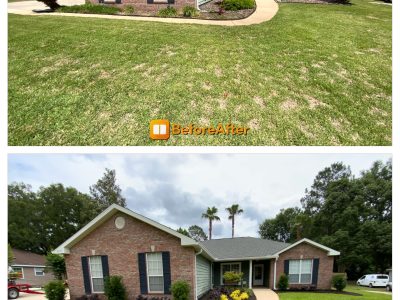 Lawn Maintenance