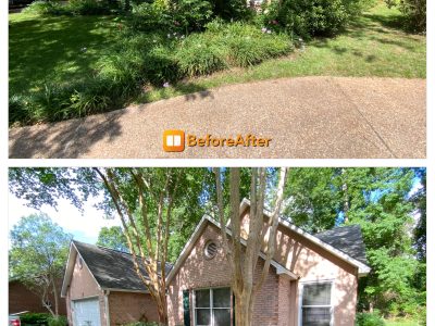 Residential Landscape Design